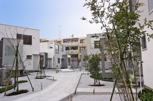 20090222_01.jpg