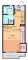 205.JPG