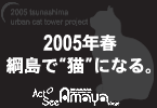 ２００５年春、綱島で”猫”になる