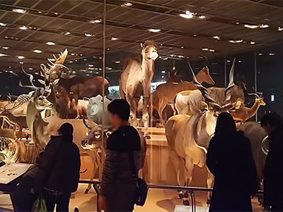 http://www.amayahome.com/staff/20180121_09.JPG