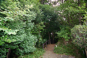 市民の森公園　マンション横入口