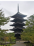 多数の国宝を有する東寺にある「五重の塔」