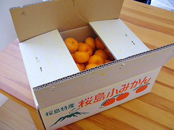 箱にはかわいいらしく「桜島小みかん」と描かれています