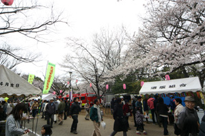 桜まつり