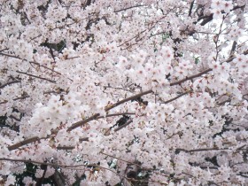 100_0027.JPG