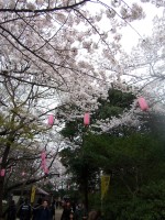100_0040.JPG