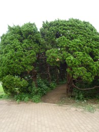 夢見ヶ崎動物公園