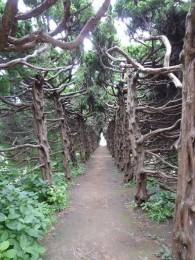 夢見ヶ崎動物公園