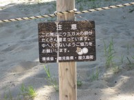 浜にある注意書き