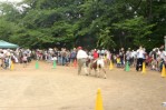 移動動物園