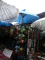 P1020424.JPG