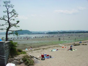 八景島の隣にある海の公園