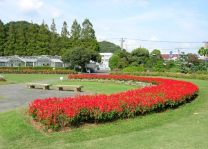 県立フラワーセンター大船植物園