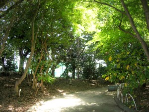 神奈川県立フラワーセンター大船植物園