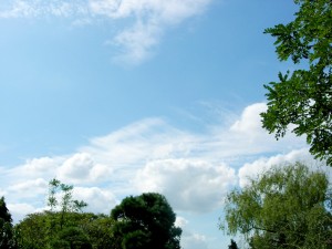 神奈川県立フラワーセンター大船植物園