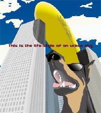 wh_01